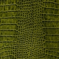 Натуральная кожа Крокодил СН зелёный толщина кожи 1.2-1.4 мм.
